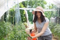 Young, beautufull woman working in a greenhouse.