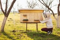 A young beekeeper girl is working with bees and beehives on the apiary Royalty Free Stock Photo