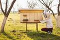 A young beekeeper girl is working with bees and beehives on the apiary