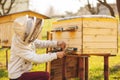 A young beekeeper girl is working with bees and beehives on the apiary, on spring day Royalty Free Stock Photo