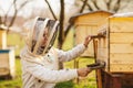 A young beekeeper girl is working with bees and beehives on the apiary, on spring day