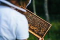 Young beekeeper inspecting beehive frame detal. Close to the forrest