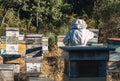 Young beekeeper performing tasks in the middle of the beehives Royalty Free Stock Photo