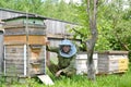 The young beekeeper sits about a beehive