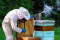 Young beekeeper working in the apiary. Beekeeping concept. Beekeeper harvesting honey.