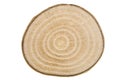 Cross section of a birch wood trunck