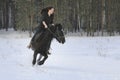 Young black haired woman on top a bay horse in winter forest Royalty Free Stock Photo