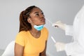 Young black woman getting nasal coronavirus swab test on grey studio background. Health care, medicine, new normal Royalty Free Stock Photo