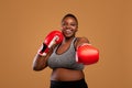Young Black Woman Posing With Boxing Gloves At Studio Royalty Free Stock Photo