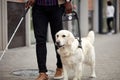 Young blind man with stick and guide dog walking