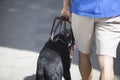 Young blind man walking with black dog guide