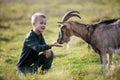 Young blond cute handsome smiling child boy playing with horned bearded goat outdoors on bright sunny summer or spring day on Royalty Free Stock Photo