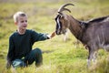 Young blond cute handsome smiling child boy playing with horned bearded goat outdoors on bright sunny summer or spring day on Royalty Free Stock Photo