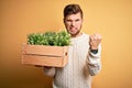 Young blond gardener man with beard and blue eyes holding wooden box with plants annoyed and frustrated shouting with anger, crazy