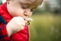 Young blond kid in the meadow blowing wishes on dandelion seed Royalty Free Stock Photo