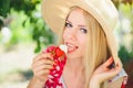 Young blond woman eating strawberries with cream, happy in the garden on a summer sunny day, warm summer tonic image, self-service Royalty Free Stock Photo