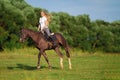 Young blond woman with long hair jockey rider jumping on a bay horse Royalty Free Stock Photo