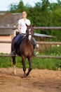 Blond woman with long hair jockey rider on a bay horse, in a paddock on a ranch Royalty Free Stock Photo