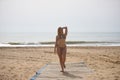 Young, blonde, beautiful woman, wearing a leopard print bikini, walking along a wooden walkway on the beach, smiling, happy, Royalty Free Stock Photo