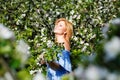 A young blonde in a blue dress in a spring apple orchard with her eyes closed enjoys the flowering. The concept of a plus-size