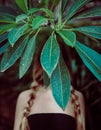 Young blonde blurred girl without face stands behind bright green tropical palm branch with exotic leaves in balinese garden, Bali Royalty Free Stock Photo