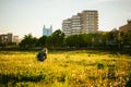 Young blonde girl in dress with shoulder bag, walking on dandelion field