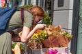 Young girl photographer makes a photo of assorted flowers bouquets in a shop on the street Royalty Free Stock Photo