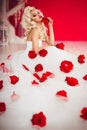 Young blonde girl in white dress with red roses Royalty Free Stock Photo