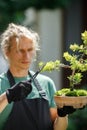 Young blonde man holding bonsai tree while standing at backyard garden Royalty Free Stock Photo