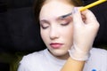 A young blonde model in the eyebrow lamination procedure, the master uses a brush to apply laminating compounds to the eyebrows Royalty Free Stock Photo