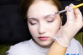 A young blonde model in the eyebrow lamination procedure, the master uses a brush to apply laminating compounds to the eyebrows Royalty Free Stock Photo