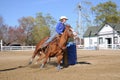 Young blonde woman barrel racing Royalty Free Stock Photo