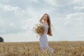 Young blonde woman with long hair stands in a wheat field with an armful of ripe ears of corn. Royalty Free Stock Photo