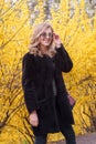 Young blonde woman near blossoming yellow trees in spring park on sunny day. Beautiful happy girl enjoying smell in a flowering Royalty Free Stock Photo