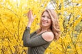 Young blonde woman near blossoming yellow trees in spring park on sunny day. Beautiful happy girl enjoying smell in a Royalty Free Stock Photo