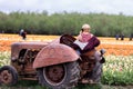 A young blonde woman sitting on an old pink traktor