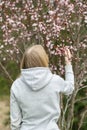 A young blonde woman smelling cherry blossom Royalty Free Stock Photo