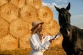 Young Blonde Woman In White Shirt Stroking A Brown Horse In Summer Countryside. Royalty Free Stock Photo