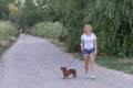 A young blonde woman in a white T-shirt and shorts walks in the park with a brown dachshund. Walking the dog outdoors in summer