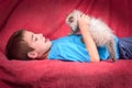 Young Blue Point Himalayan Persian kitten and cute boy Royalty Free Stock Photo