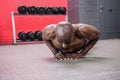 Young bodybuilder doing excercises Royalty Free Stock Photo