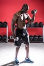 Young Bodybuilder doing weightlifting Royalty Free Stock Photo