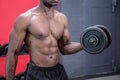 Young Bodybuilder doing weightlifting Royalty Free Stock Photo