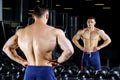 Young bodybuilder with great muscles posing in gym before the mirror Royalty Free Stock Photo