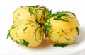 Young boiled potatoes