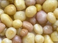 Young boiled potatoes close-up as background