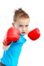 Young boxer Royalty Free Stock Photo