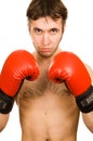 Young boxer Royalty Free Stock Photo