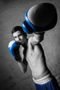 Young boxer fighter Royalty Free Stock Photo