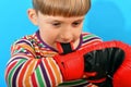 A young boxer puts gloves on his hands and helps to fasten them with his teeth, preparing a young athlete for a fight Royalty Free Stock Photo